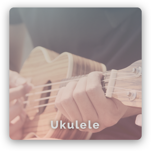 Ukulele music Class/lessons image