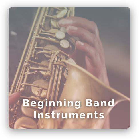 Band music Instrument Class/lessons image