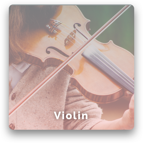 Violin music Class/lessons image