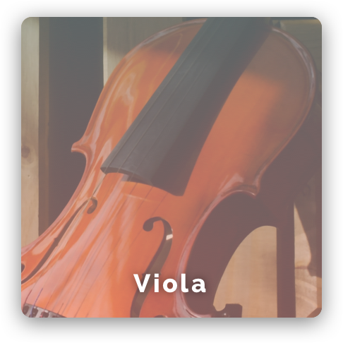 Viola music Class/lessons image