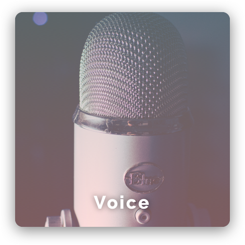 Voice music Class/lessons image