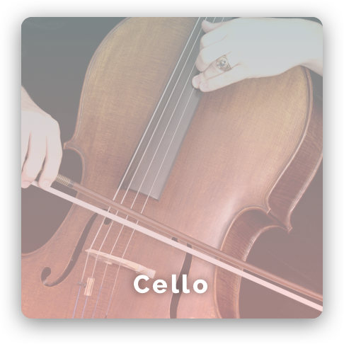 Cello music Class/lessons image